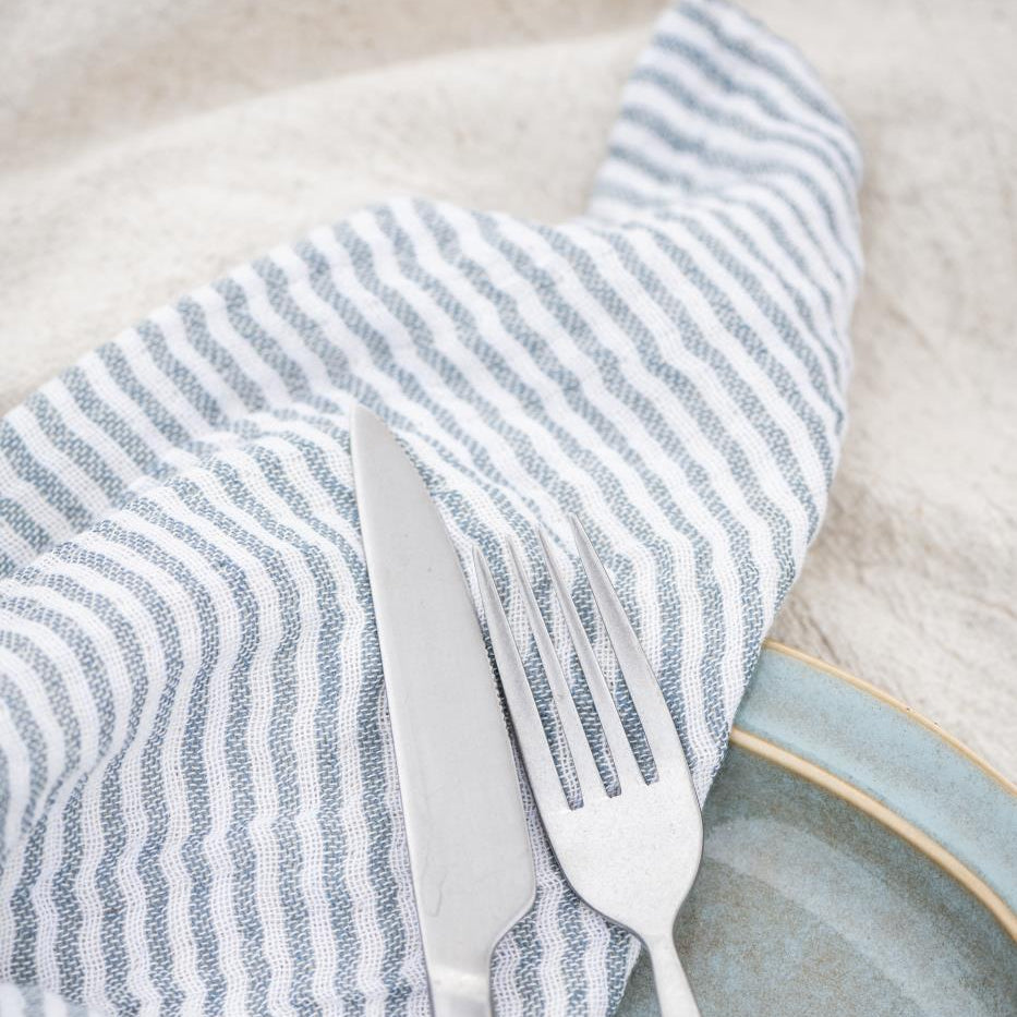 Light Blue Stripe Double Woven Napkins | Annie Mo's