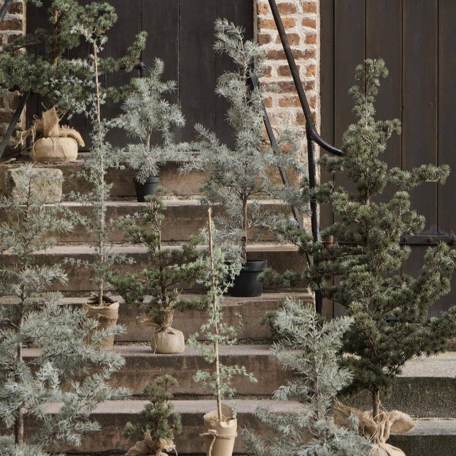 Artificial Cedar Christmas Tree in Plastic Black Pot 120cm