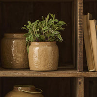 Glazed Clay Planter with Edge 12cm | Annie Mo's