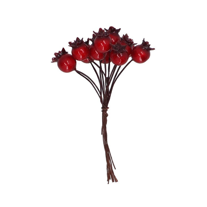 Pick Cluster - Shiny Red Berries | Annie Mo's
