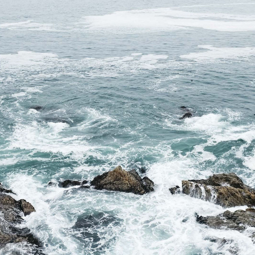 Sustainable Home Lifestyle Hardback Book