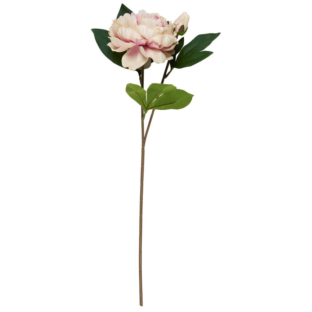Light Pink Faux Peony Stem with Flower and Bud 55cm | Annie Mo's B