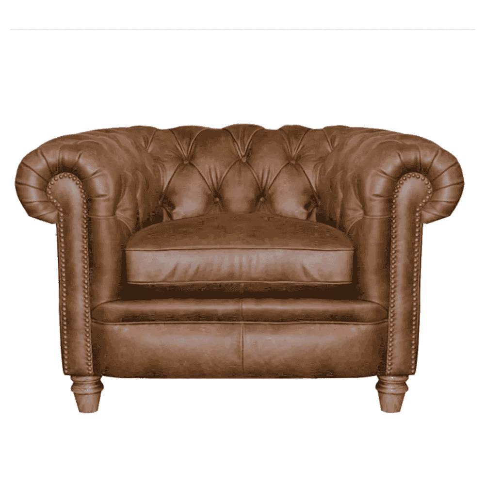 Abraham Junior Armchair | Leathers | Annie Mo's