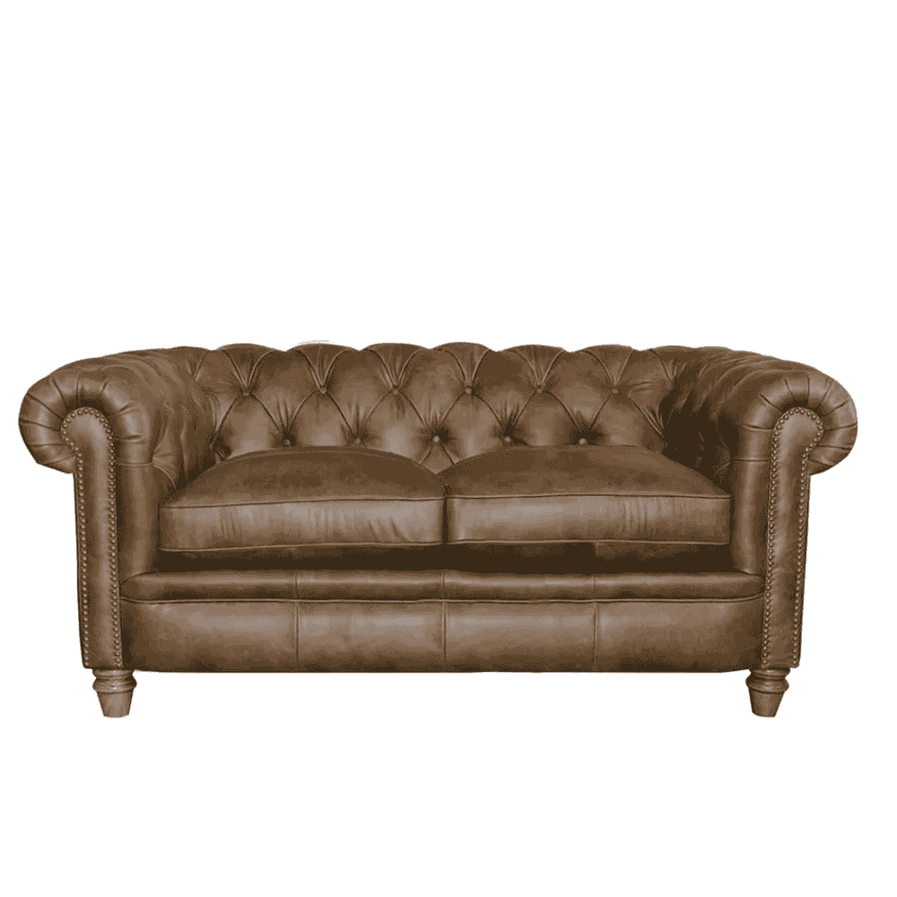 Abraham Junior Small Sofa | Leathers | Annie Mo's