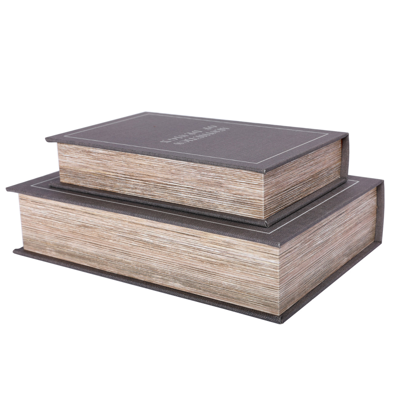 Aesthetics of Design Set of Two Book Boxes 30cm