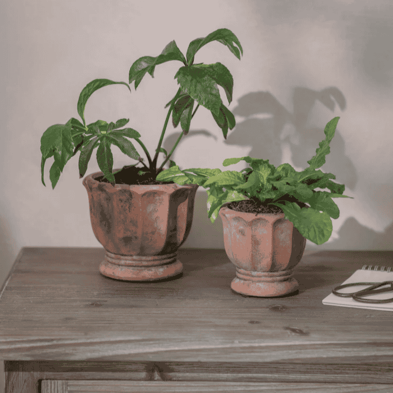 Albourne Planter - Size Choice | Annie Mo's