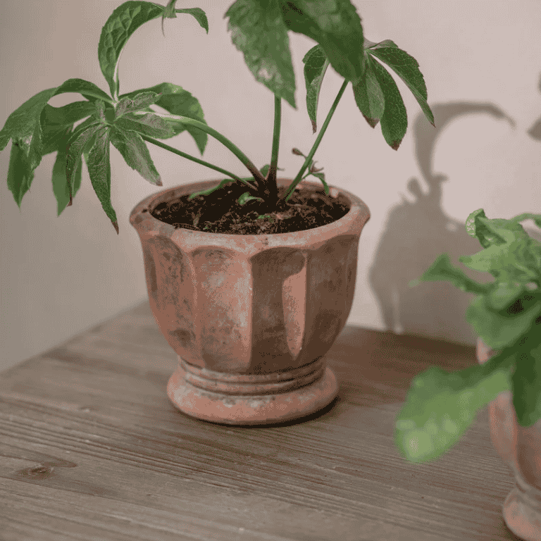 Albourne Planter - L | Annie Mo's