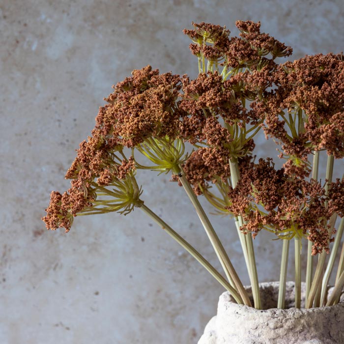 Yarrow Bunch Stem 48cm  | Annie Mo's