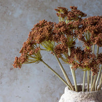 Yarrow Bunch Stem 48cm  | Annie Mo's