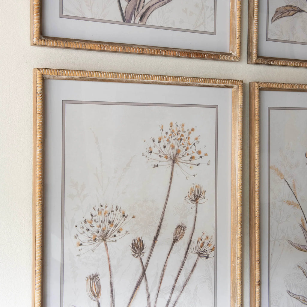 Ashmore Set of 4 Yellow Botanical Framed Prints 70cm