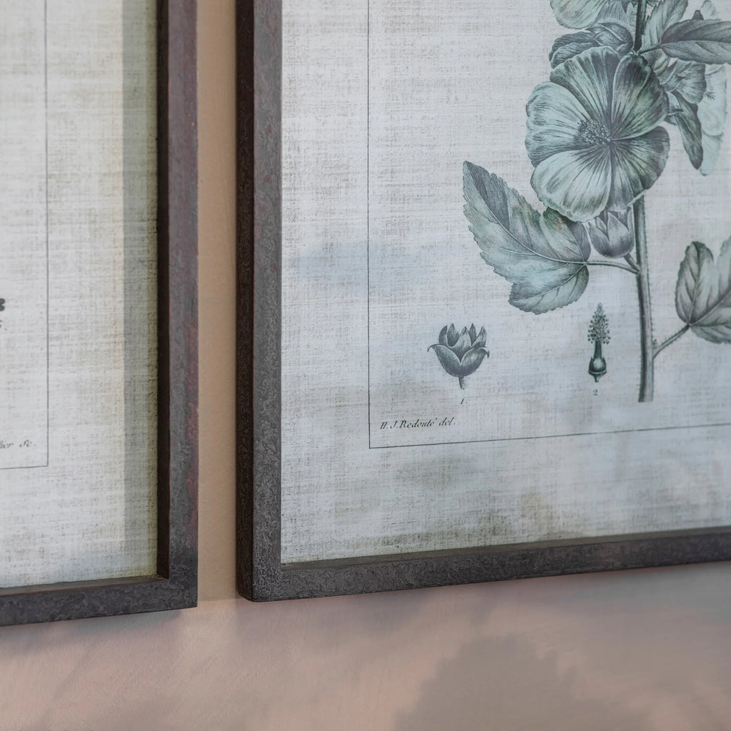 Ashmore Set of Two Lavatera Framed Prints 70cm