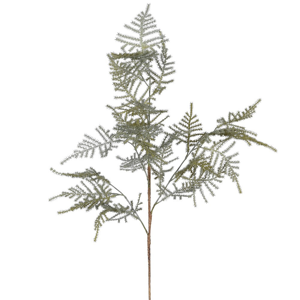 Asparagus Fern Spray 80cm | Annie Mo's