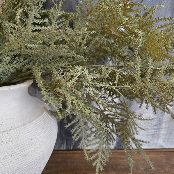 Asparagus Fern Spray 3
