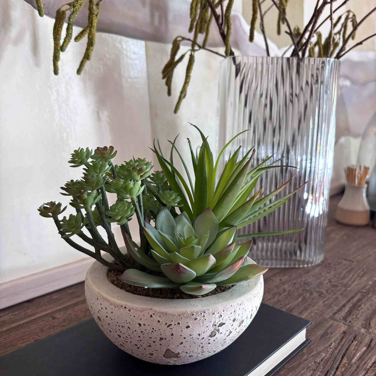 Assorted Green Succulents 1