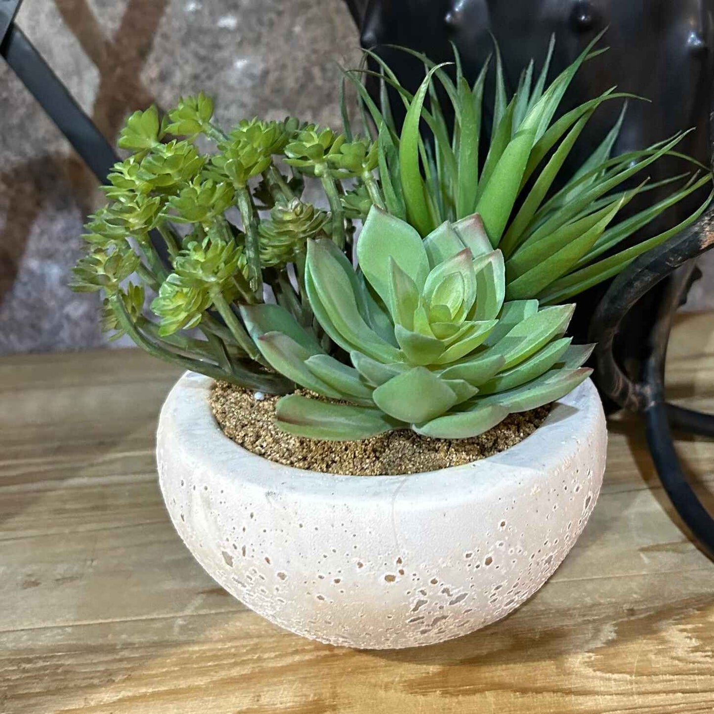 Assorted Green Succulents Arrangement in Grey Cement Bowl