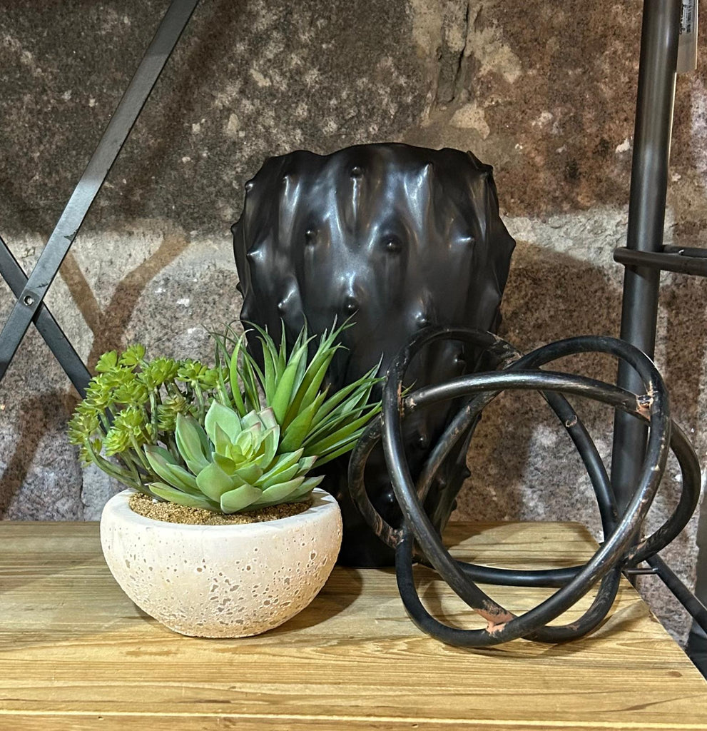 Assorted Green Succulents Arrangement in Grey Cement Bowl 15cm B