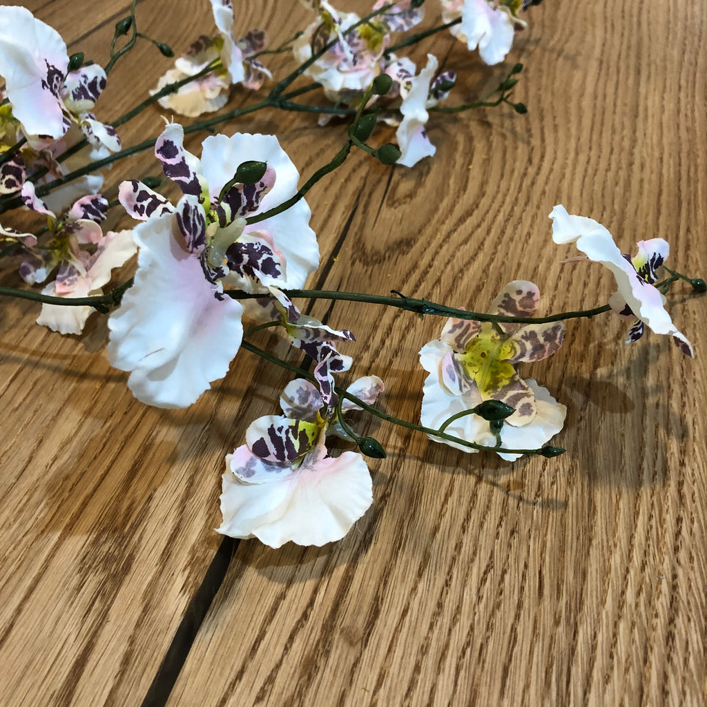 Ballerina Dancing Orchid Stem Spray 90cm