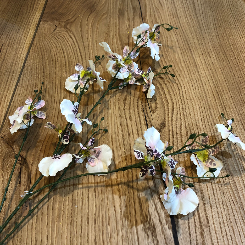 Ballerina Dancing Orchid Stem Spray 90cm B