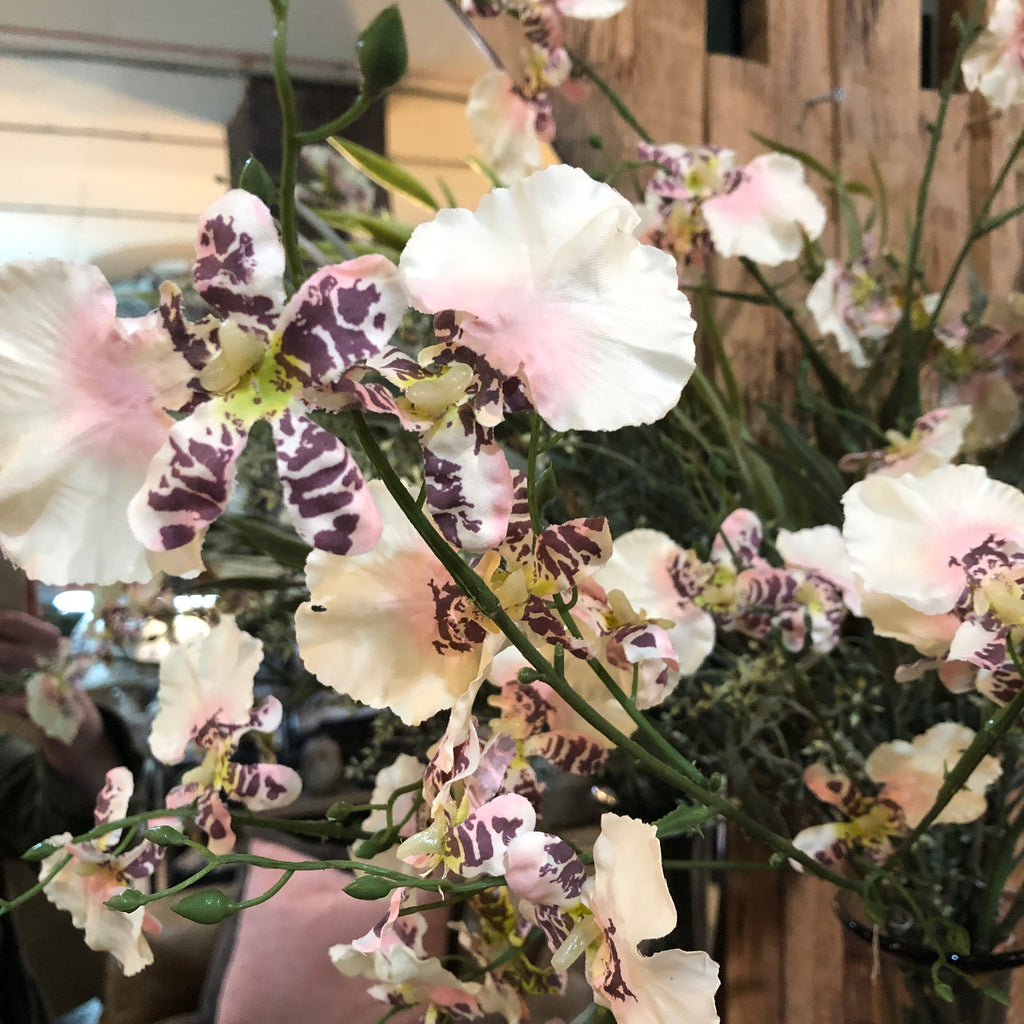 Ballerina Dancing Orchid Stem Spray 90cm D