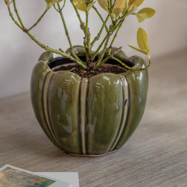 Berrington Rounded Pot 18cm B | Annie Mo's