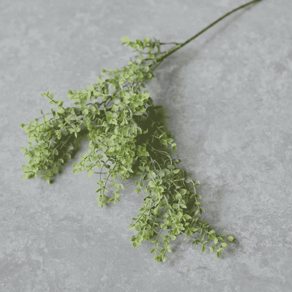 Boxwood Stem 72cm-B