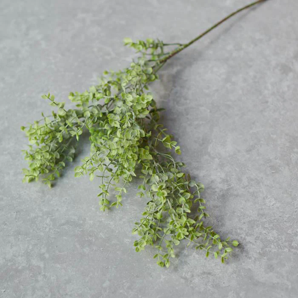 Boxwood Stem 72cm