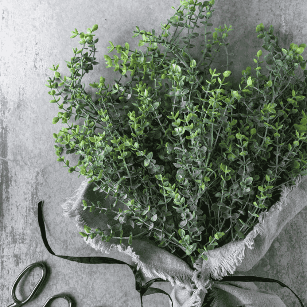 Boxwood Stem 72cm-D