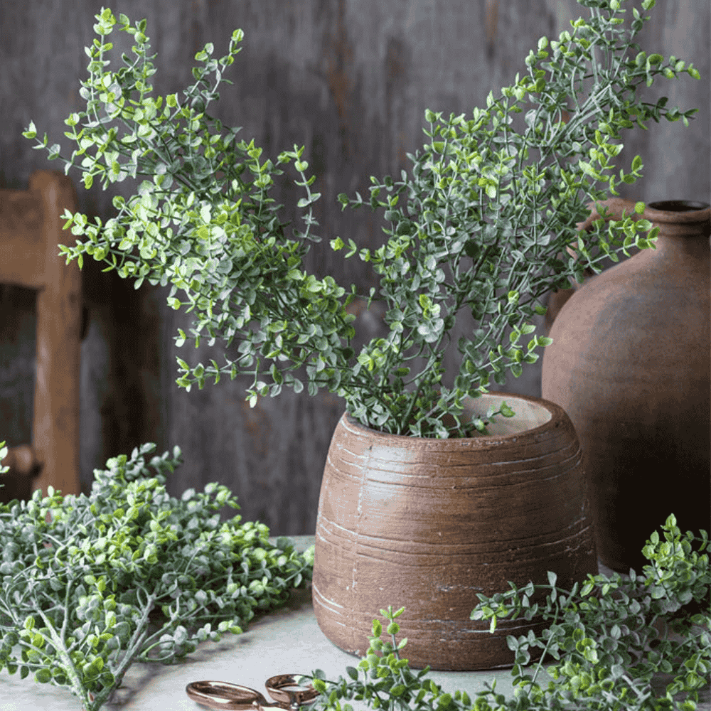 Boxwood Stem 72cm-C