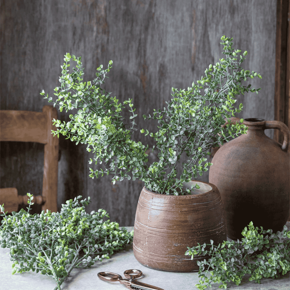 Boxwood Stem 72cm | Annie Mo's