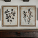 Brockby Set Of Two Leaf Prints in Wooden Frame 53.8cm