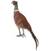 Brown Feather Pheasant 58cm