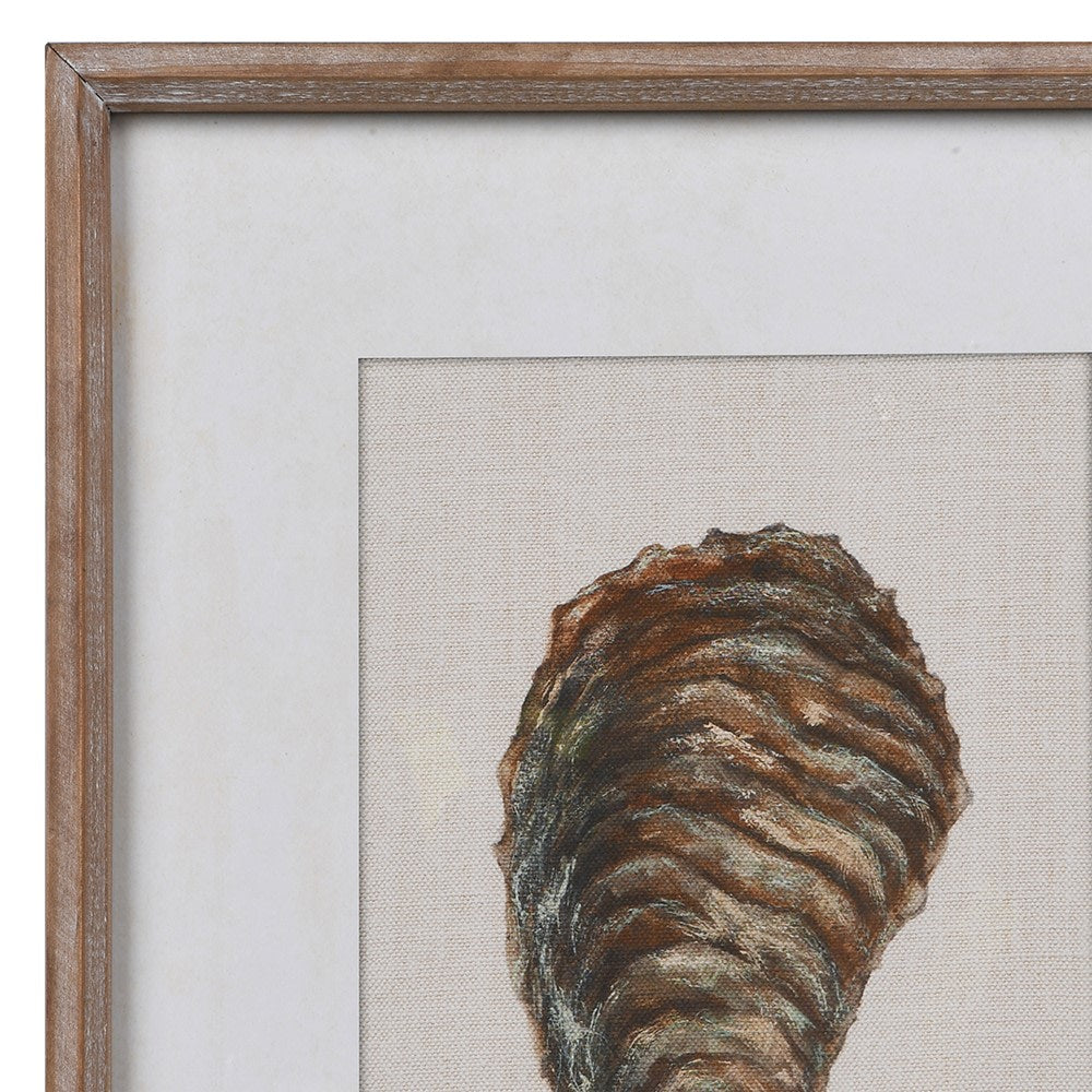 Set of Two Framed Oysters Print 40cm