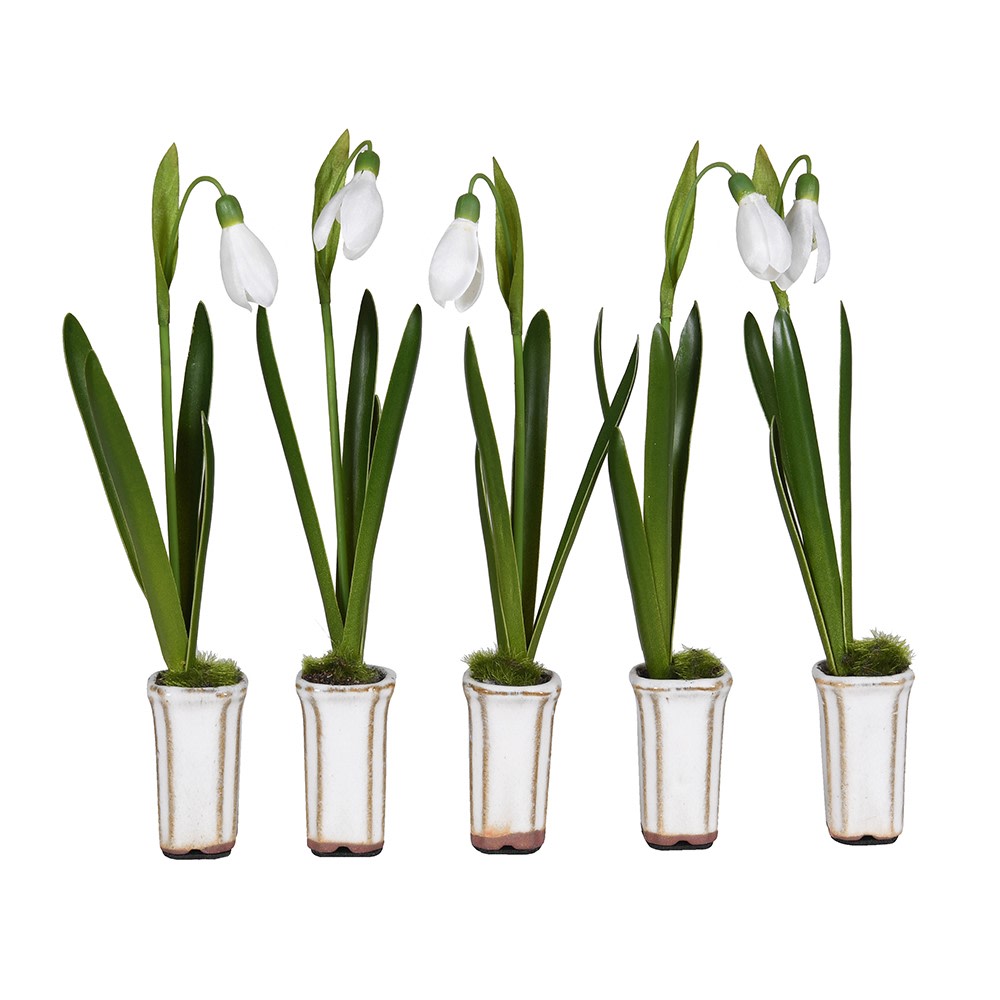 Set of Five Snowdrops in Ceramic Pot 12cm | Annie Mo's