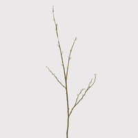 Large Pussy Willow Stem 130cm | Annie Mo's