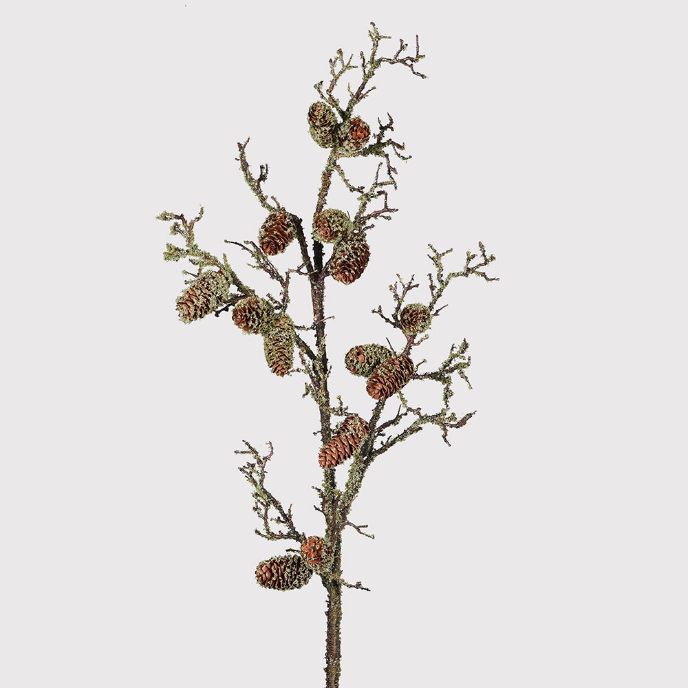 Moss Pine Cone Branch 120cm | Annie Mo's