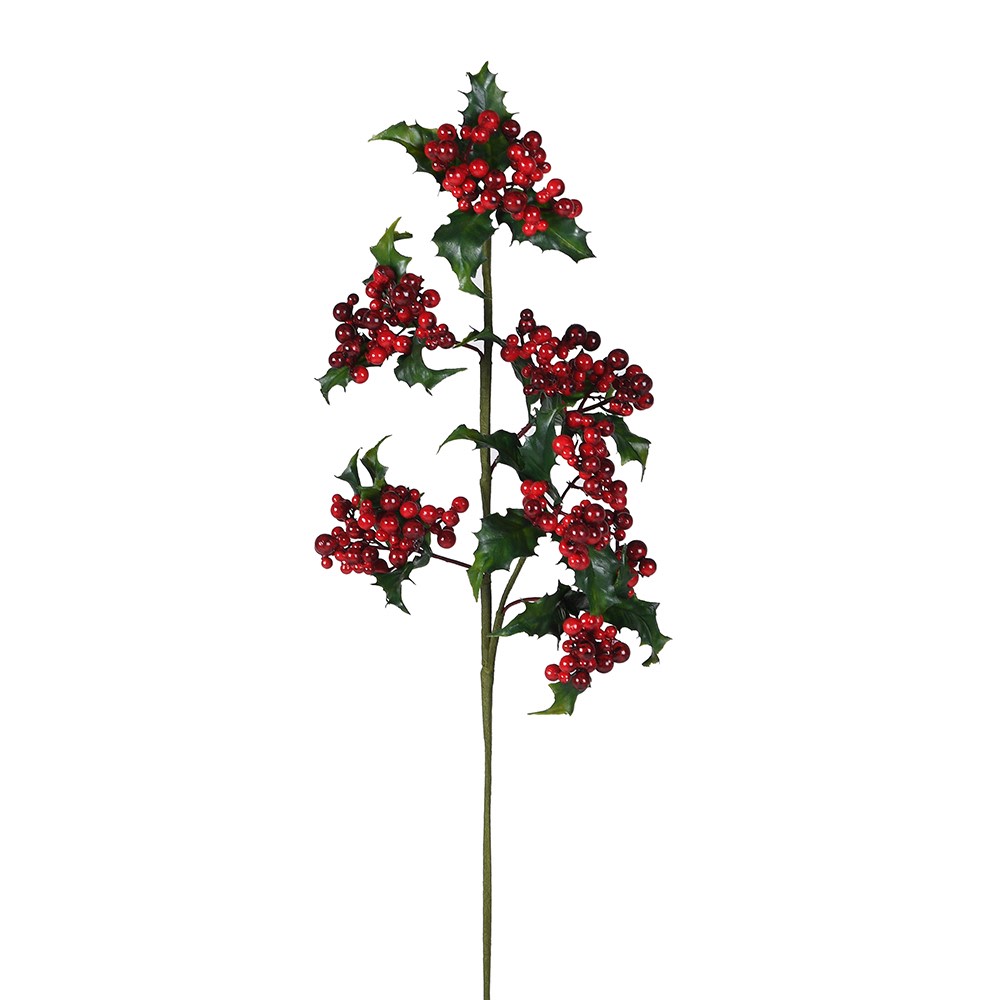 Holy and Ivy Stem 63cm | Annie Mo's