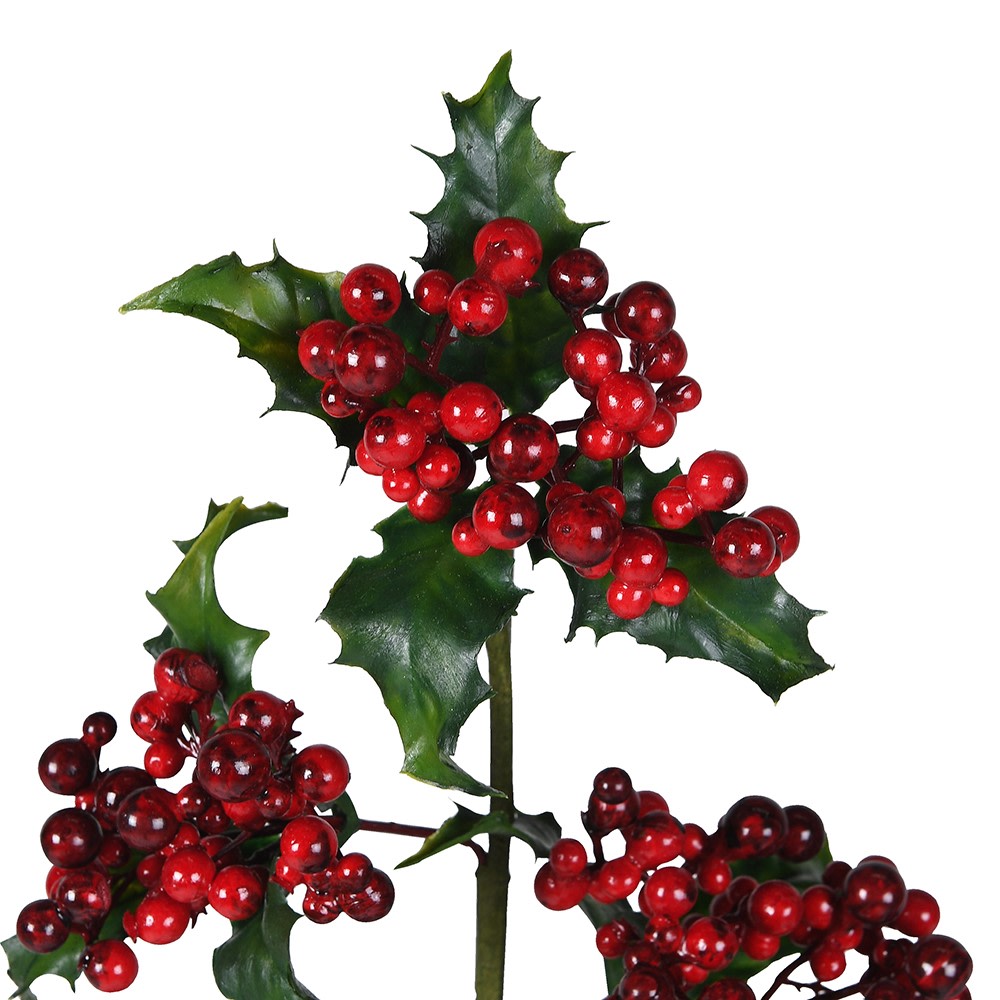 Holy and Ivy Stem 63cm