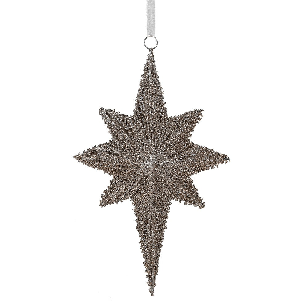 Champagne Hanging Star 50cm | Annie Mo's
