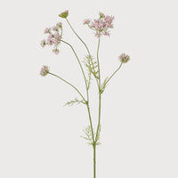 Blush Meadowsweet Spray 97cm | Annie Mo's