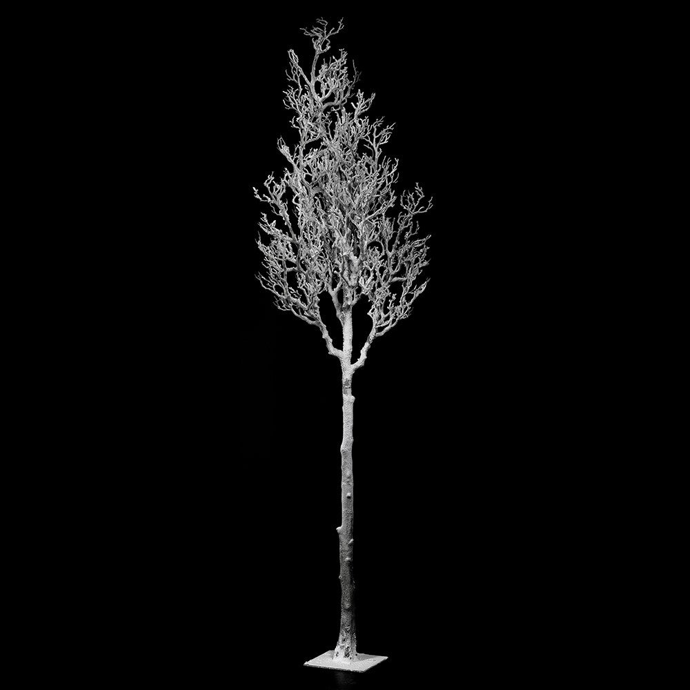 Snowy Branch Tree 300cm | Annie Mo's