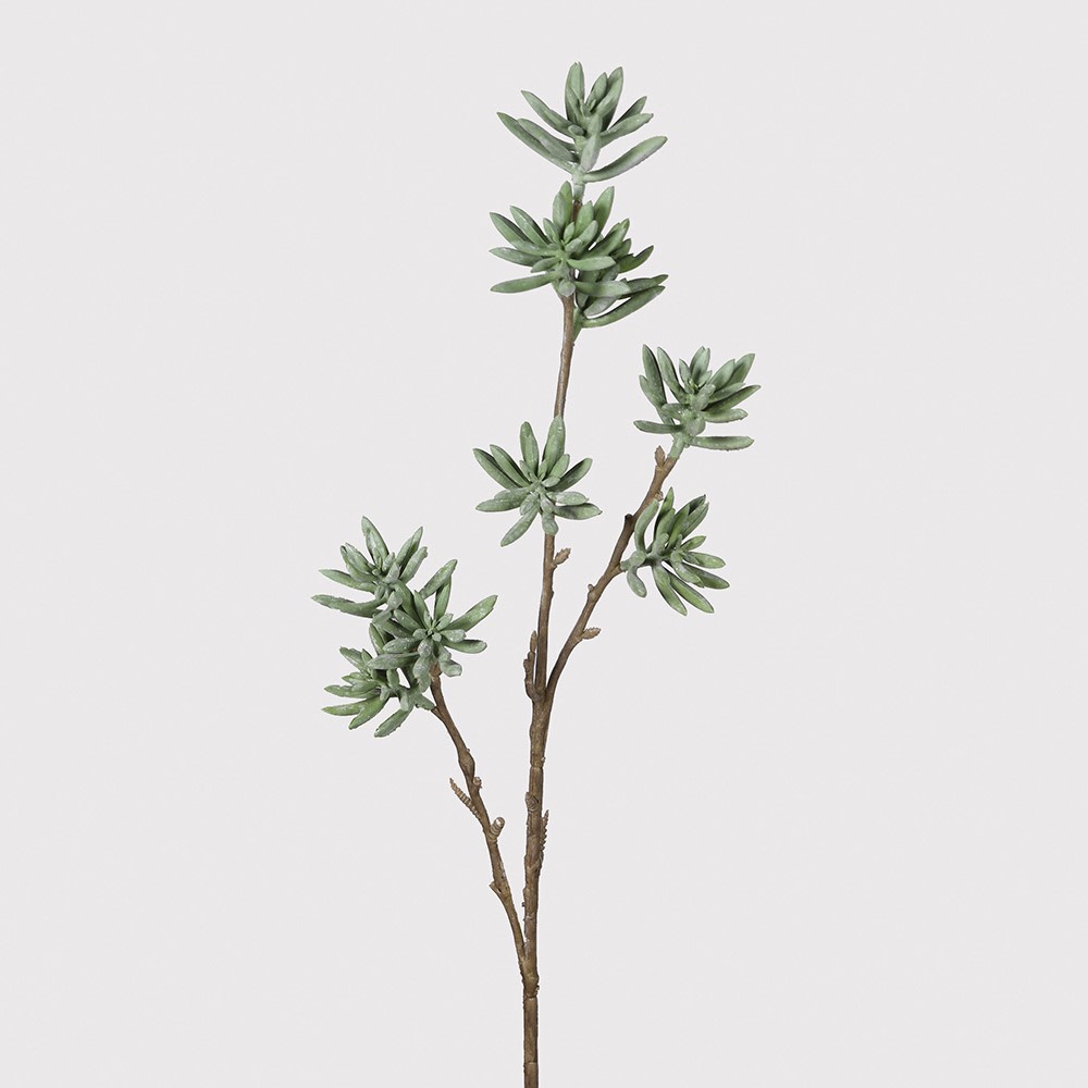 Celadon Cats Paw Spray 76cm | Annie Mo's