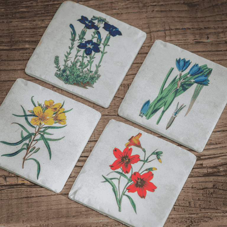 Colton Floral Coasters 11cm B | Annie Mo's