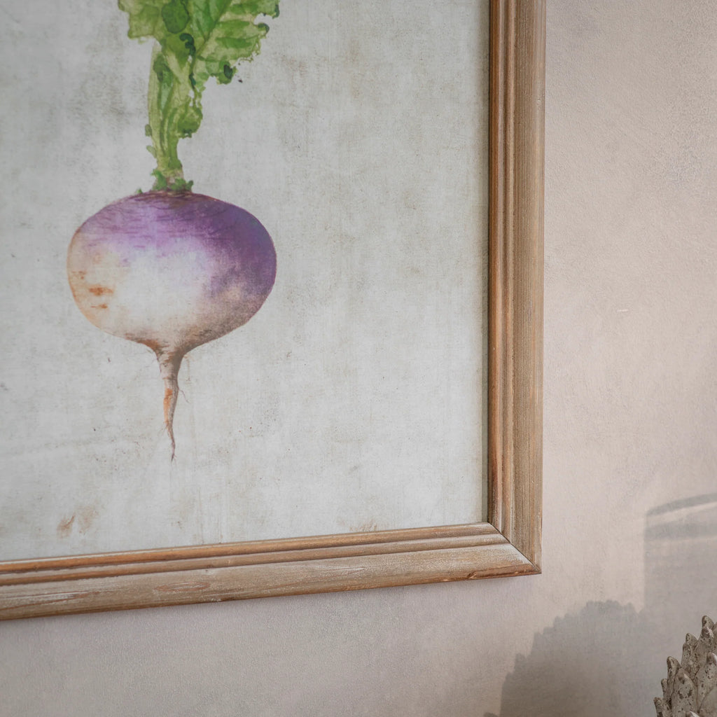 Croston Set of Four Root Vegetable Framed Prints 65cm