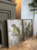 Moreton Set of Two Parrot Framed Prints 70cm