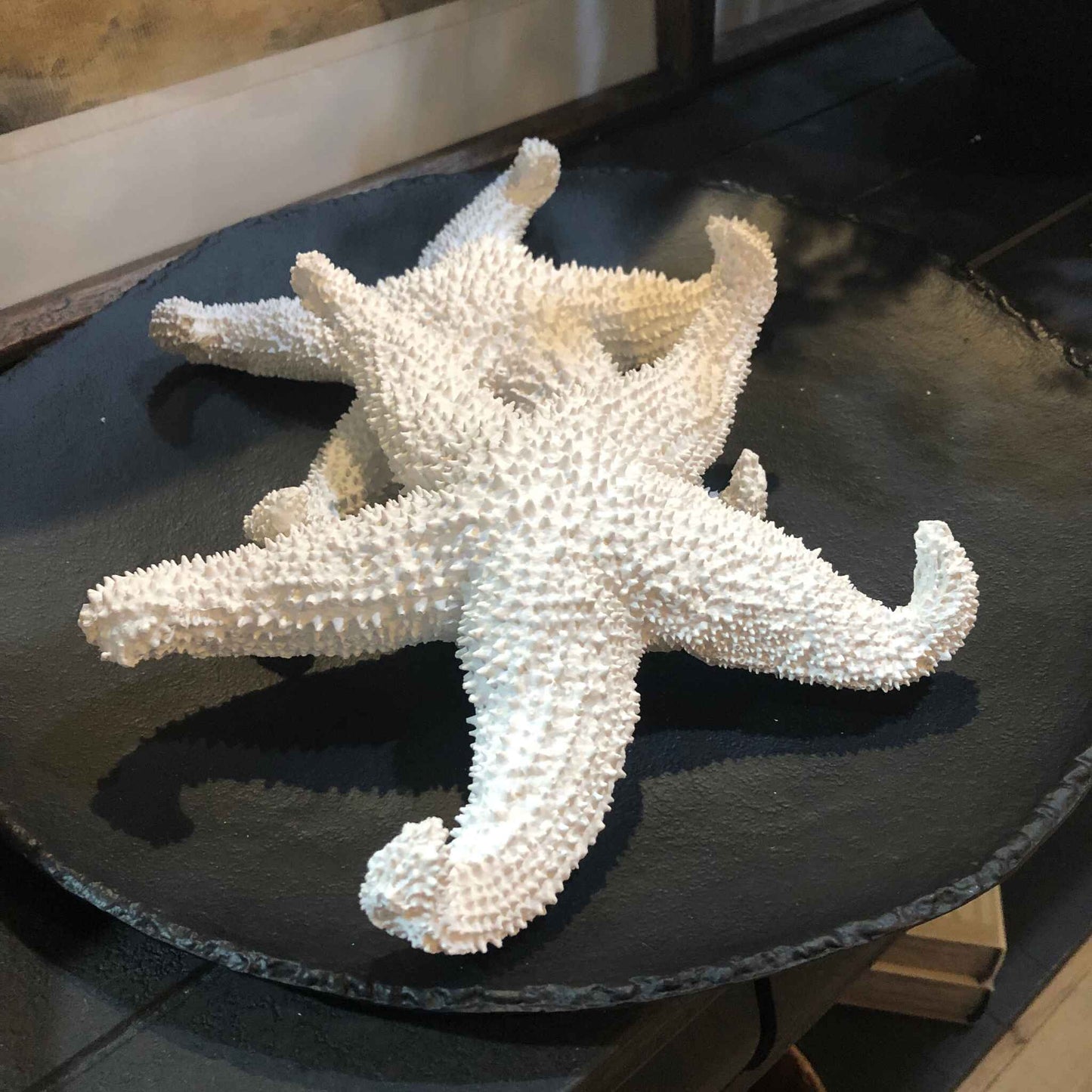 Decorative White Coral Starfish