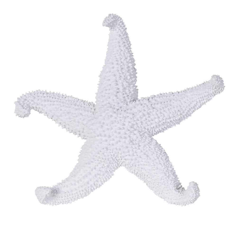 Decorative White Coral Starfish 22cmBC