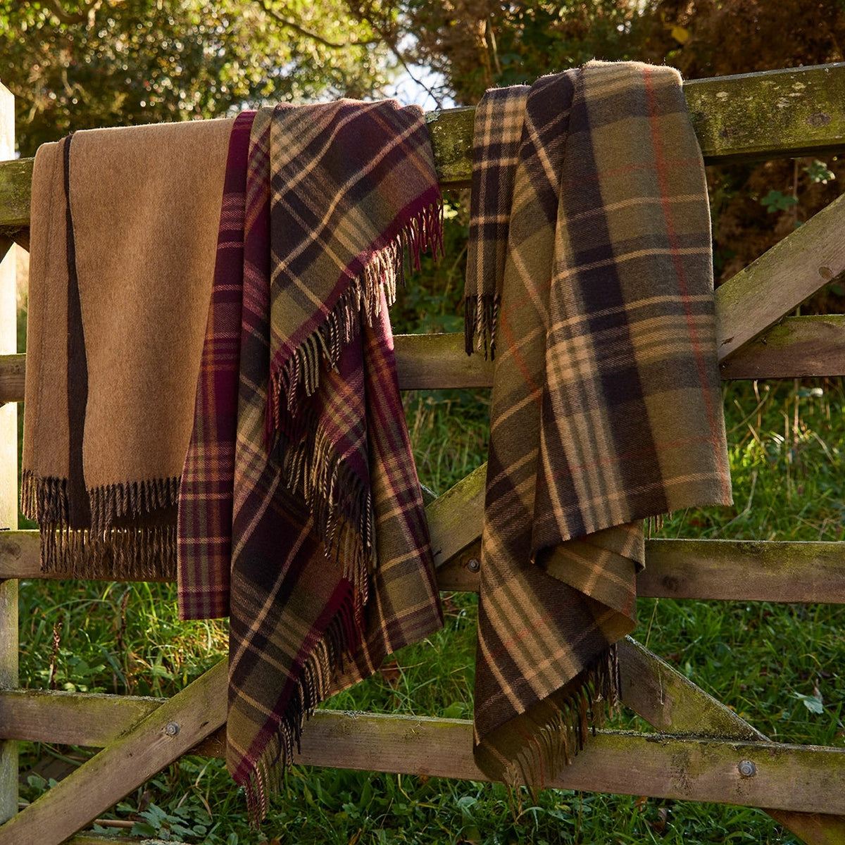 Estate Plaid Merino Throw - Olive | Annie Mo's-B