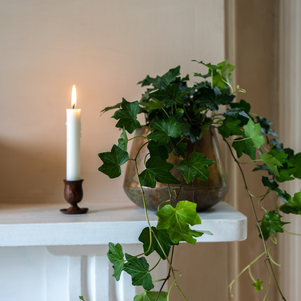 Forged Small Candle Holder 5cm