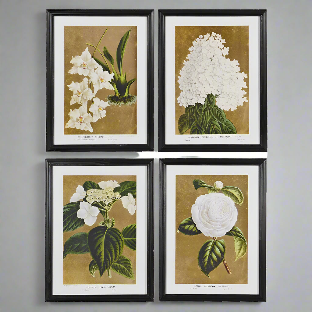 Framed Set of Four White Florals Wall Art 60cm | Annie Mo's