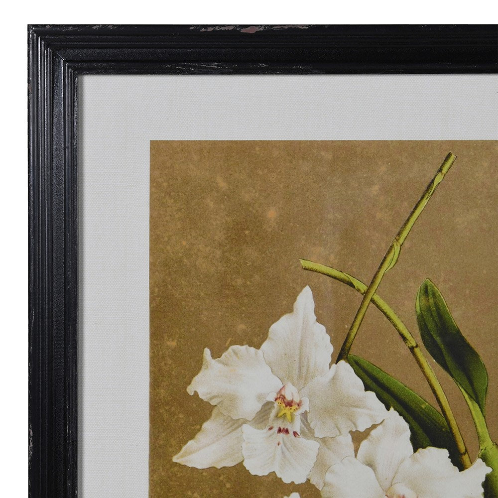 Framed Set of Four White Florals Wall Art 60cm B